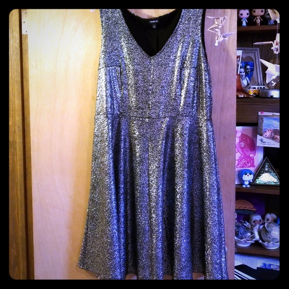 NWOT Torrid 1x Silver Sparkle Skater Dress